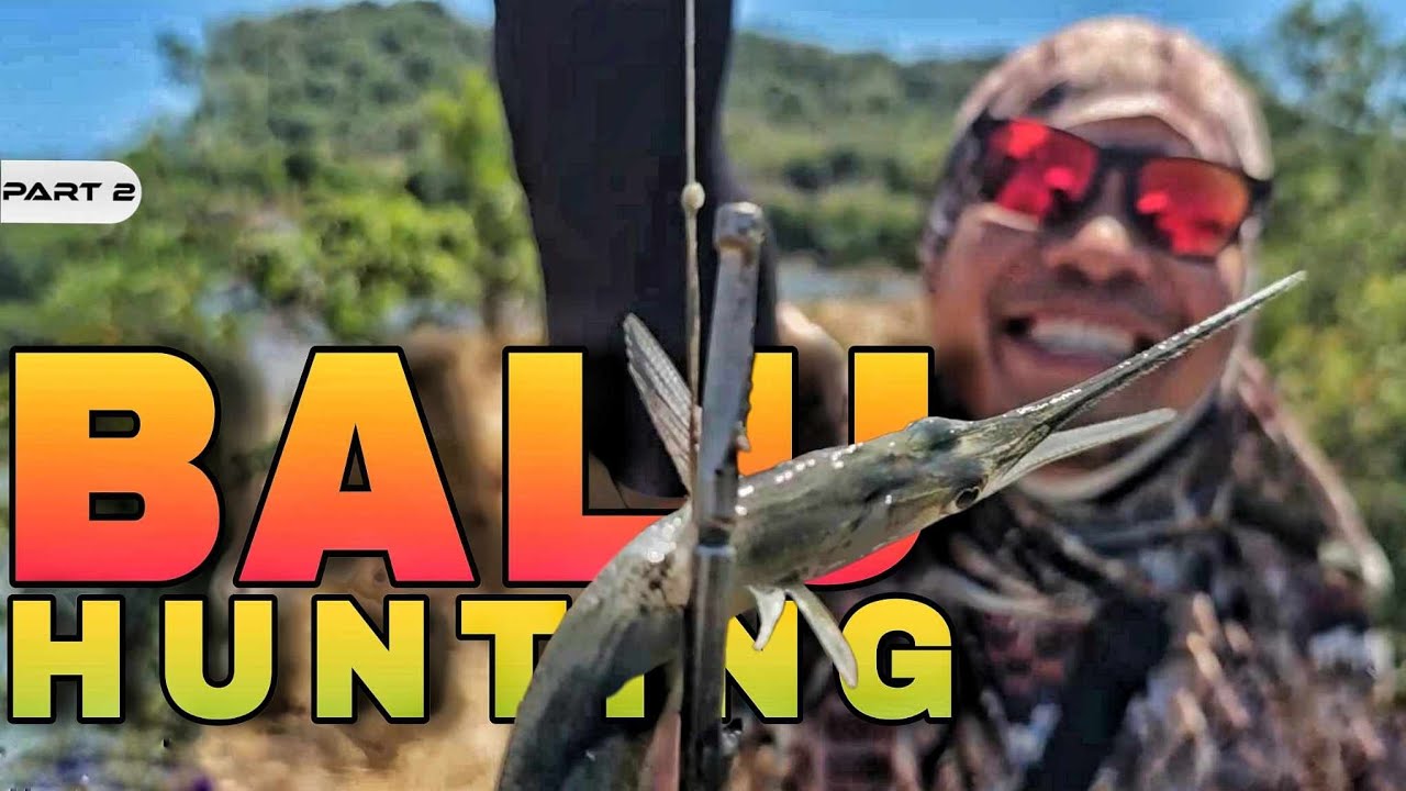 P2 - BALU HUNTING - EP2224