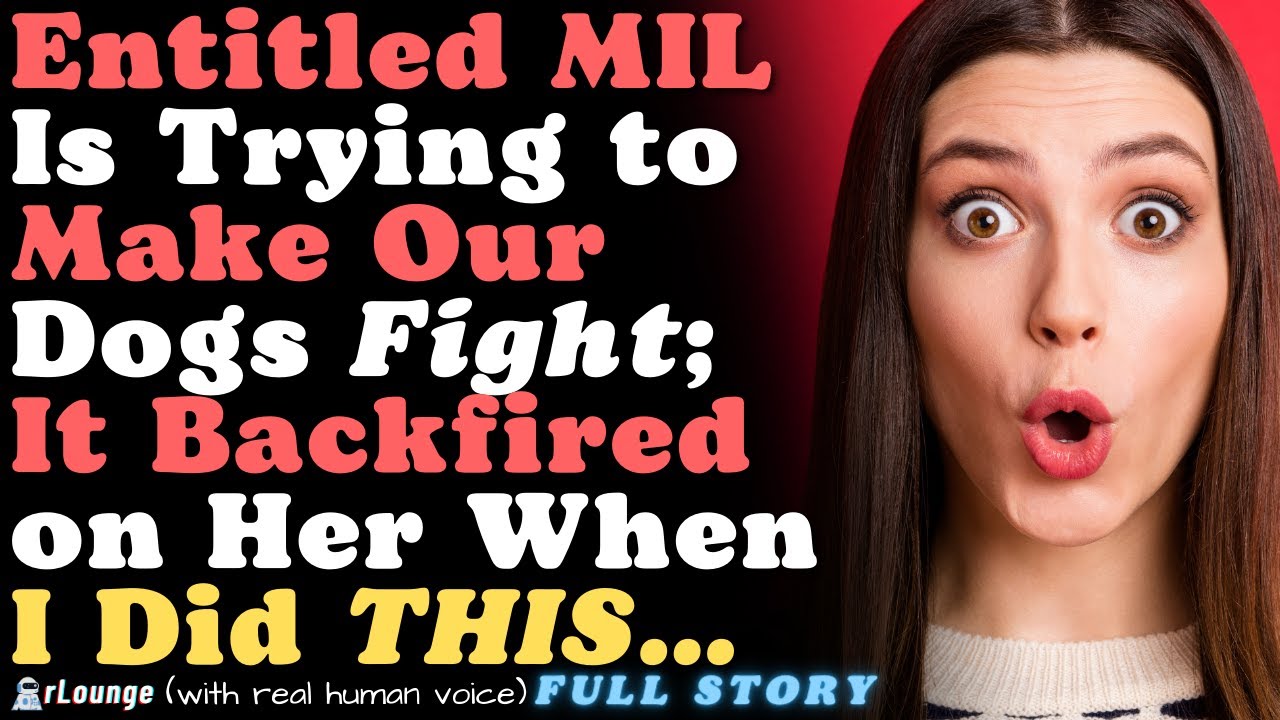 Petty Revenge: Entitled MIL Is Trying to Make Our Dogs Fight; It Backfires on Her When I Did 
