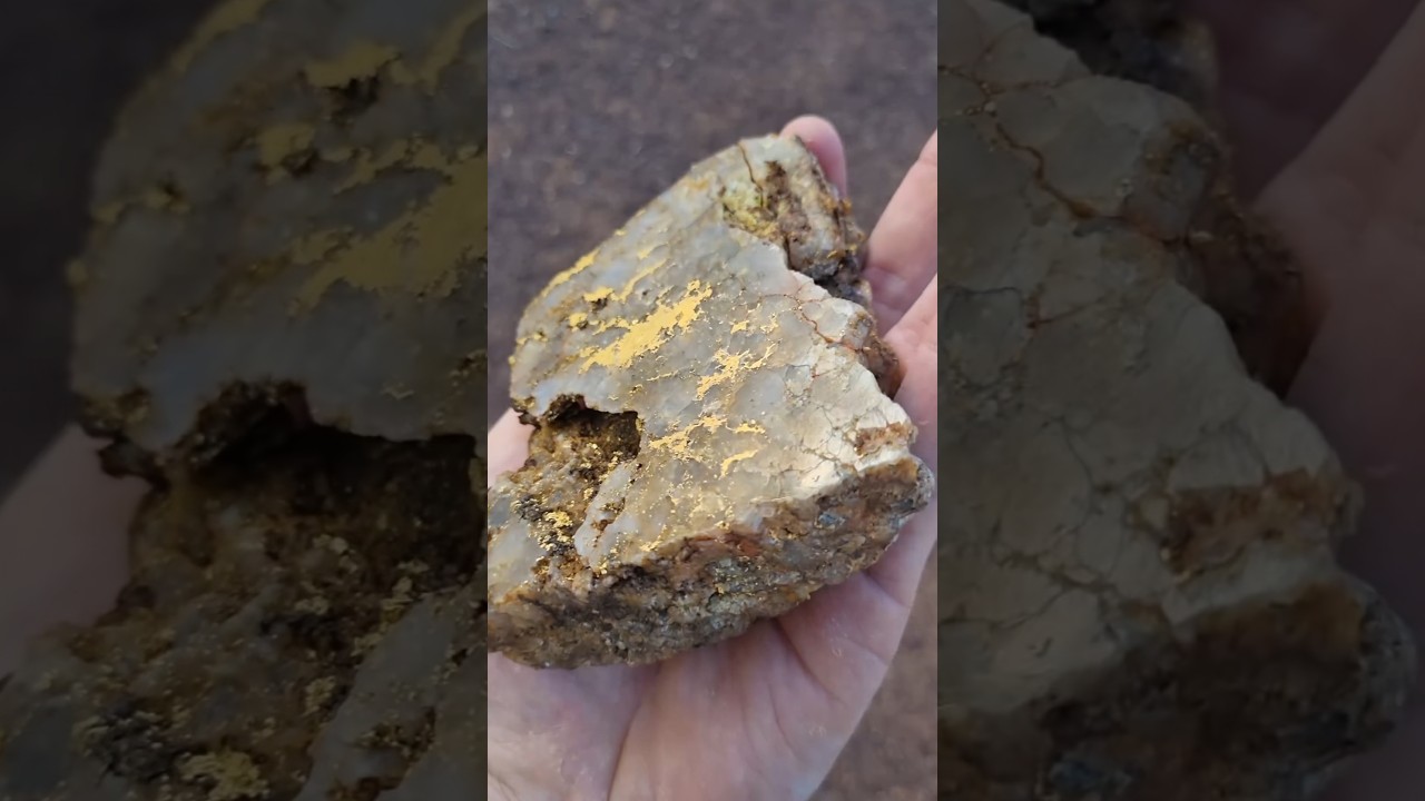 Incredible Gold Quartz Specimen Saved from the Ore Crusher  #goldextraction #goldprospecting