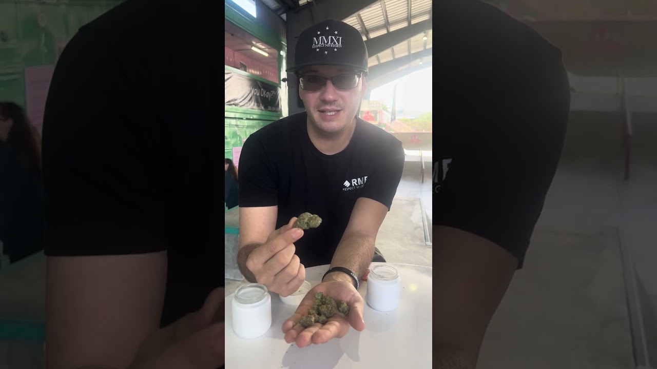 Green Dragon Florida Cannabis Review
