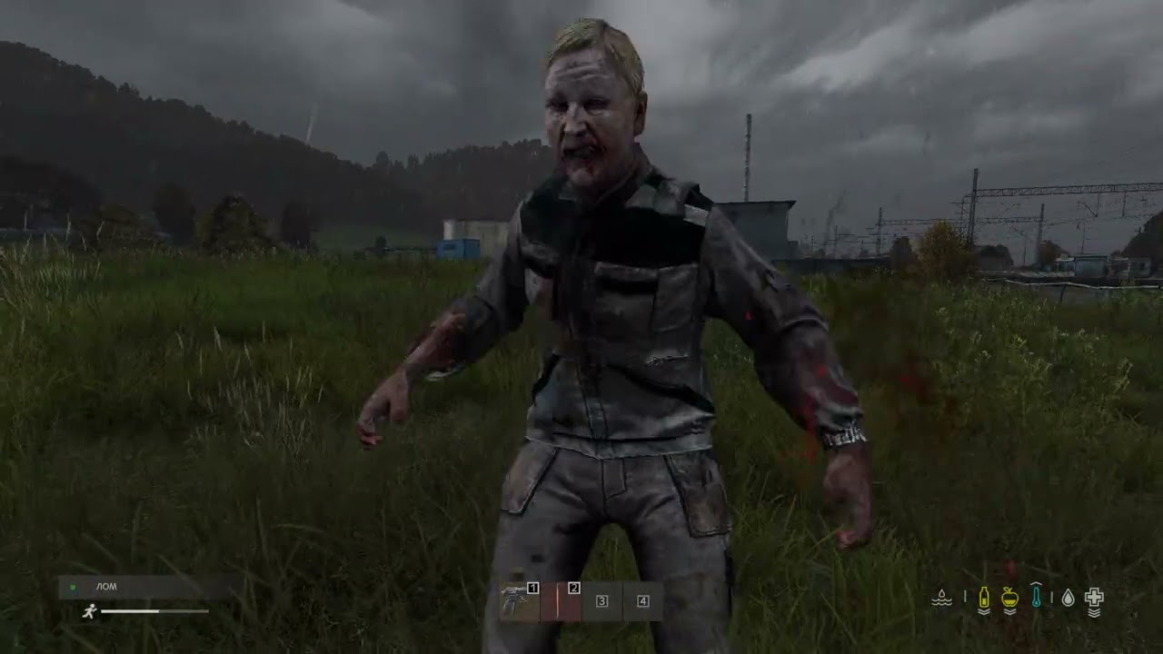 DayZ в соло. Небольшой гайд, часть 1.