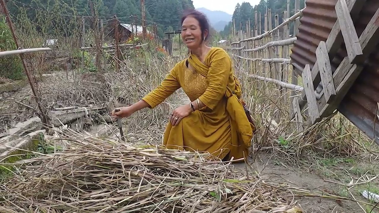 Traditional Methods of making Apatani dishes (Piiyu)