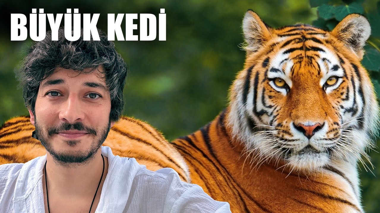 KAPLAN SEVDİM PHUKET ŞEHİR TURU - 5. B&ouml;l&uuml;m