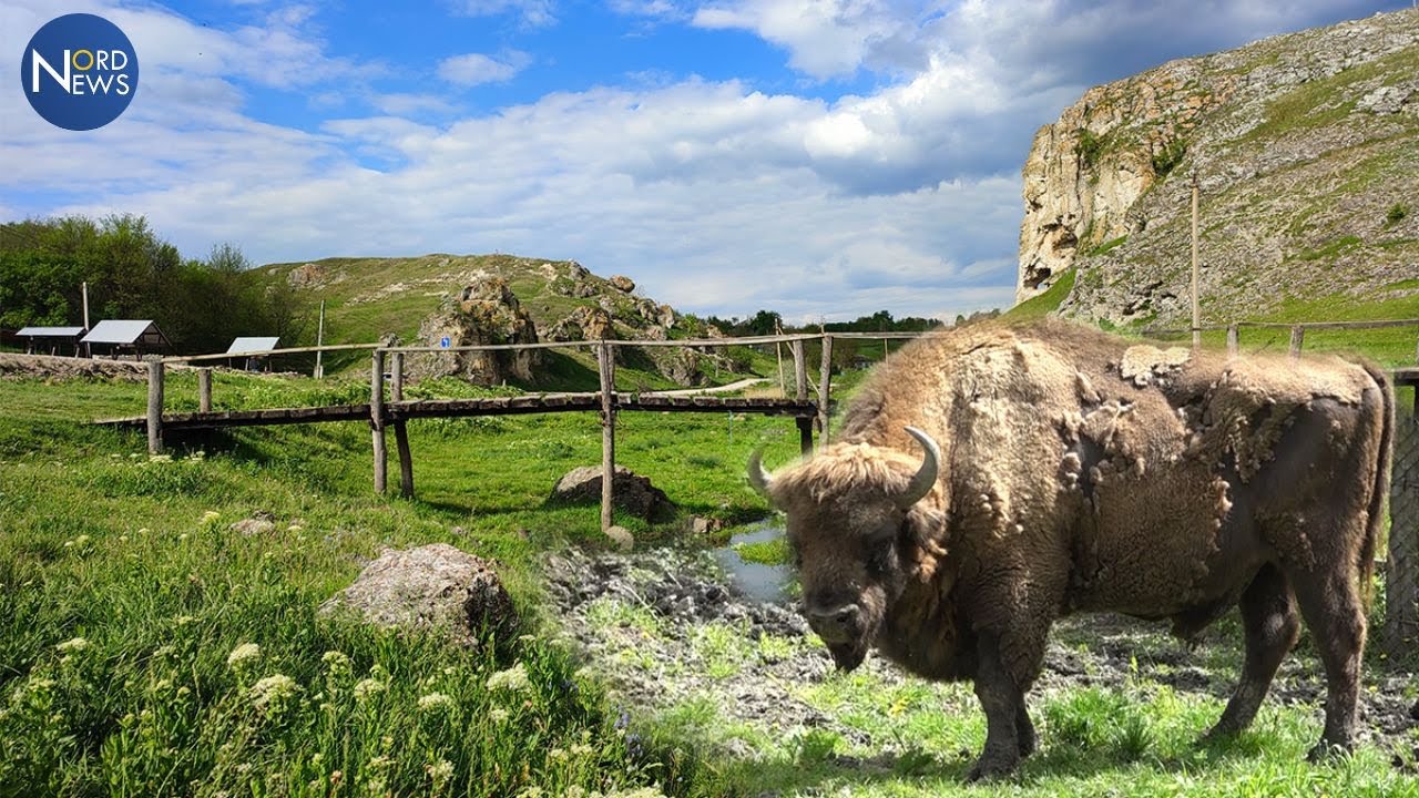 Movile, zimbri și păduri bogate în legende. O mică excursie prin nordul R. Moldova