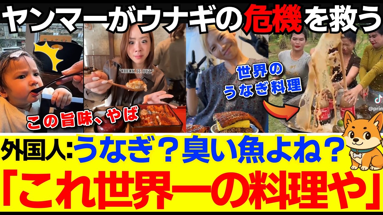 【海外の反応】「違いすぎる！」世界一と言われる日本のうなぎが特別な理由。海外レビューが絶賛した、日本のうなぎの正体。うなぎの救世主の正体とは！？