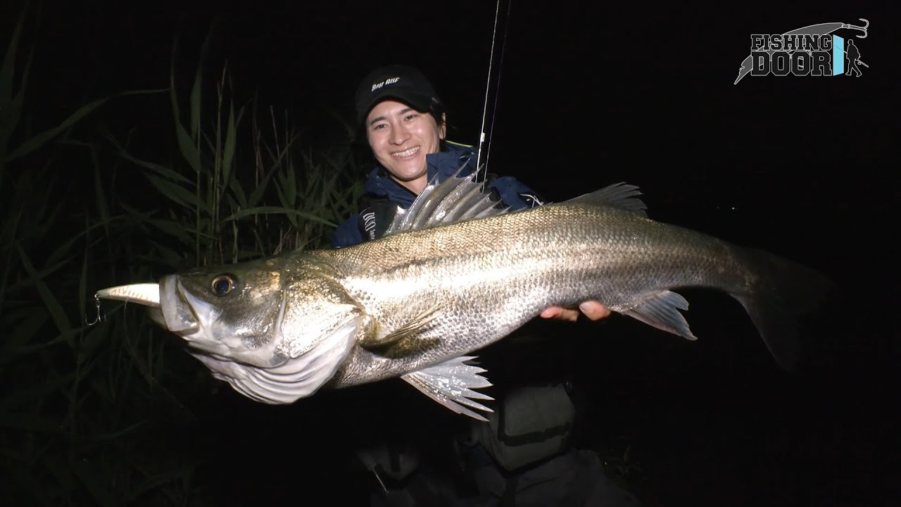 Tone River Seabass Fishing with Yasuhiro Hashimoto