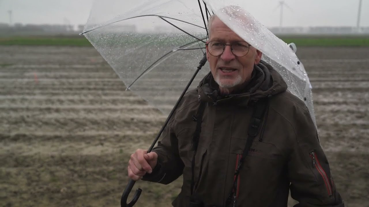 Proeftuin Van Pallandtpolder - RTV Rijnmond