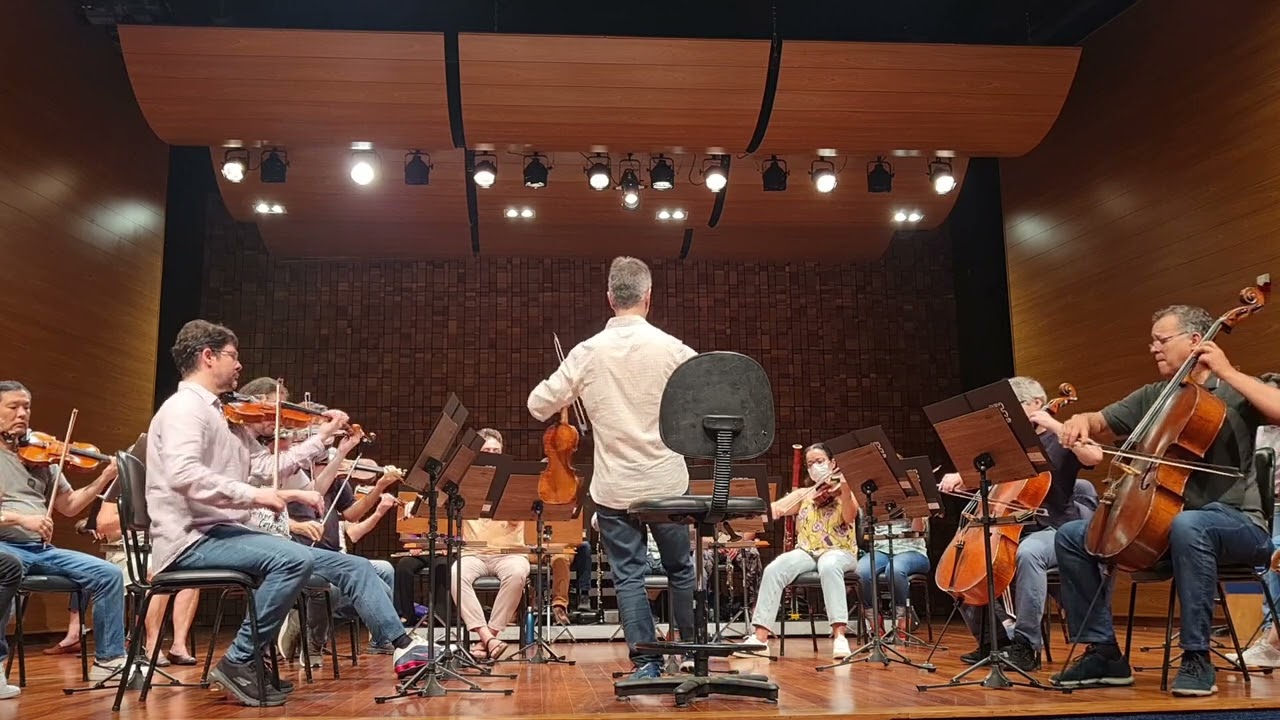 Trecho solo violino Cláudio Micheletti; cello Julio Ortiz, OSUSP Luís O. Santos Sinfonia Haydn N. 7