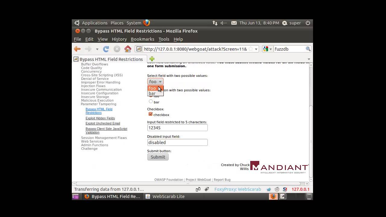 Parameter Tampering -Bypass HTML Field Restrictions