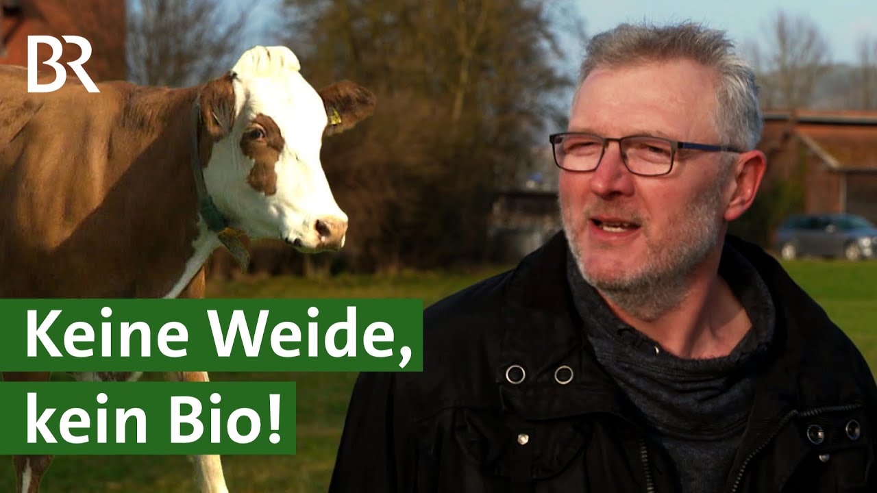 Weniger bio wegen Weidepflicht? EU-&Ouml;koverordnung setzt Bio Landwirte unter Druck | Unser Land | BR