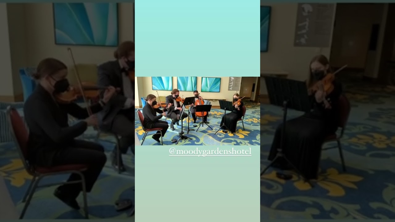 In My Life | The Beatles (Ampd String Quartet Cover)