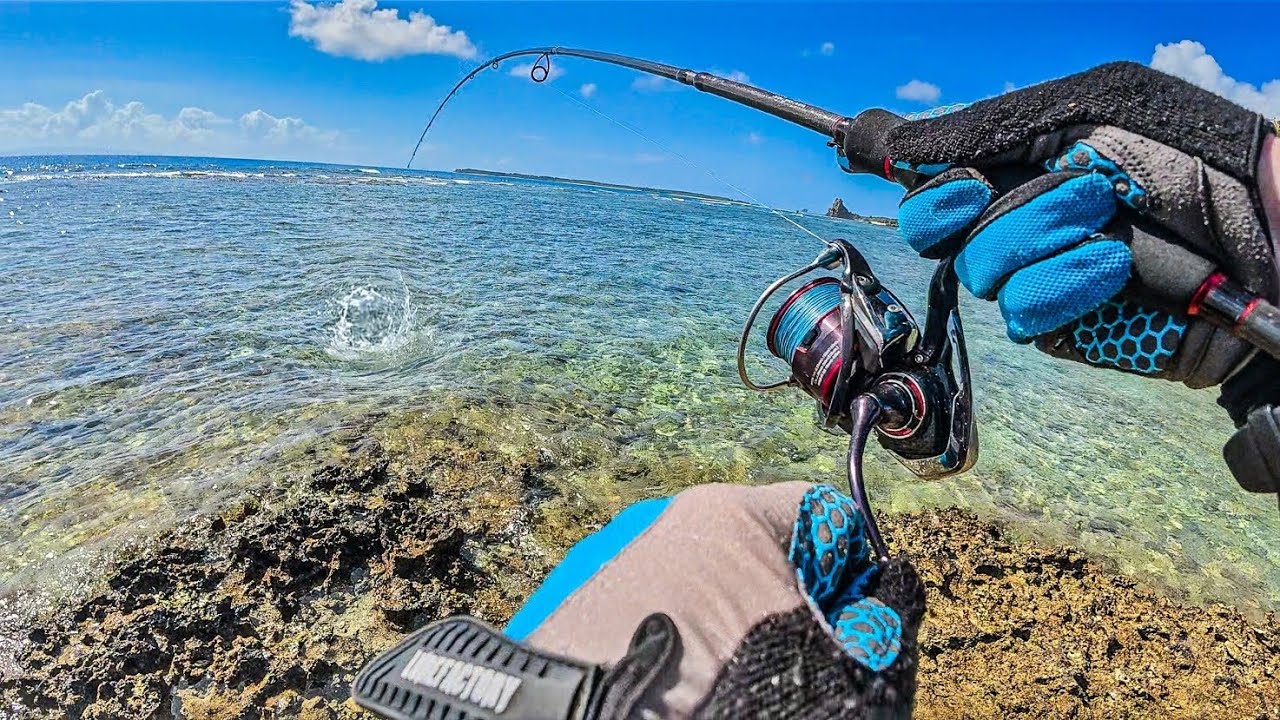 Reef Fishing In Okinawa Japan - Solo Camping