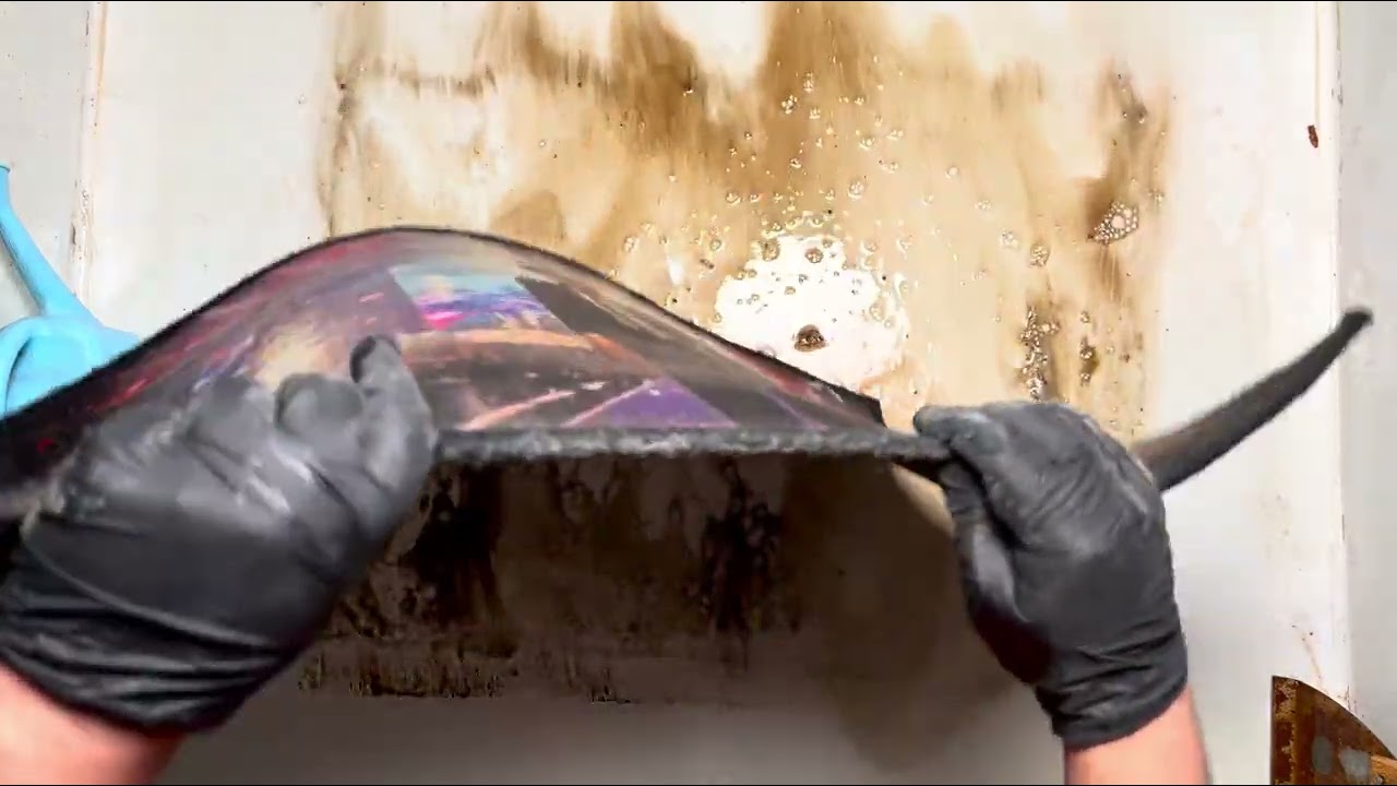 Unbelievable Filthy Carpet Transformation