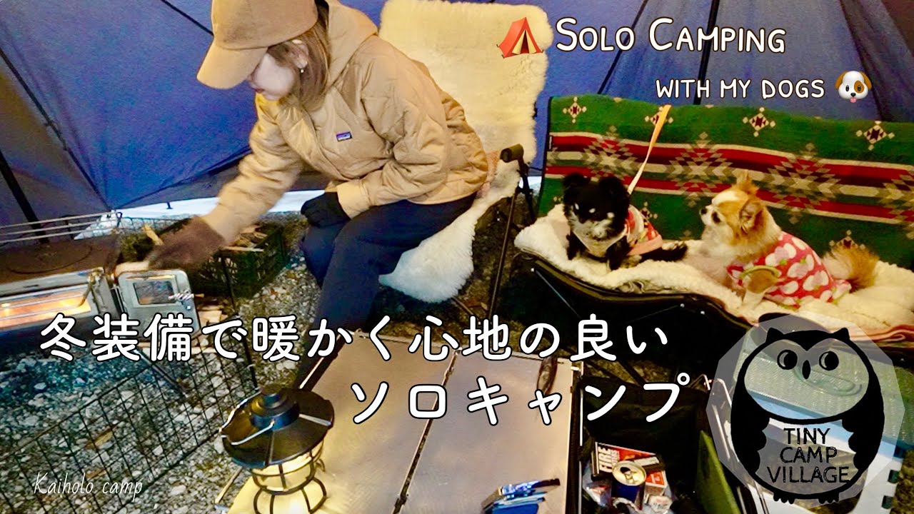 【50代女子ソロキャンプ】薪ストキャンプシェルター＆キャンピングカー 車中泊｜どこでも活躍 EcoFlow ポータブル電源｜ Solo camping with my dogs, Vlog［54］