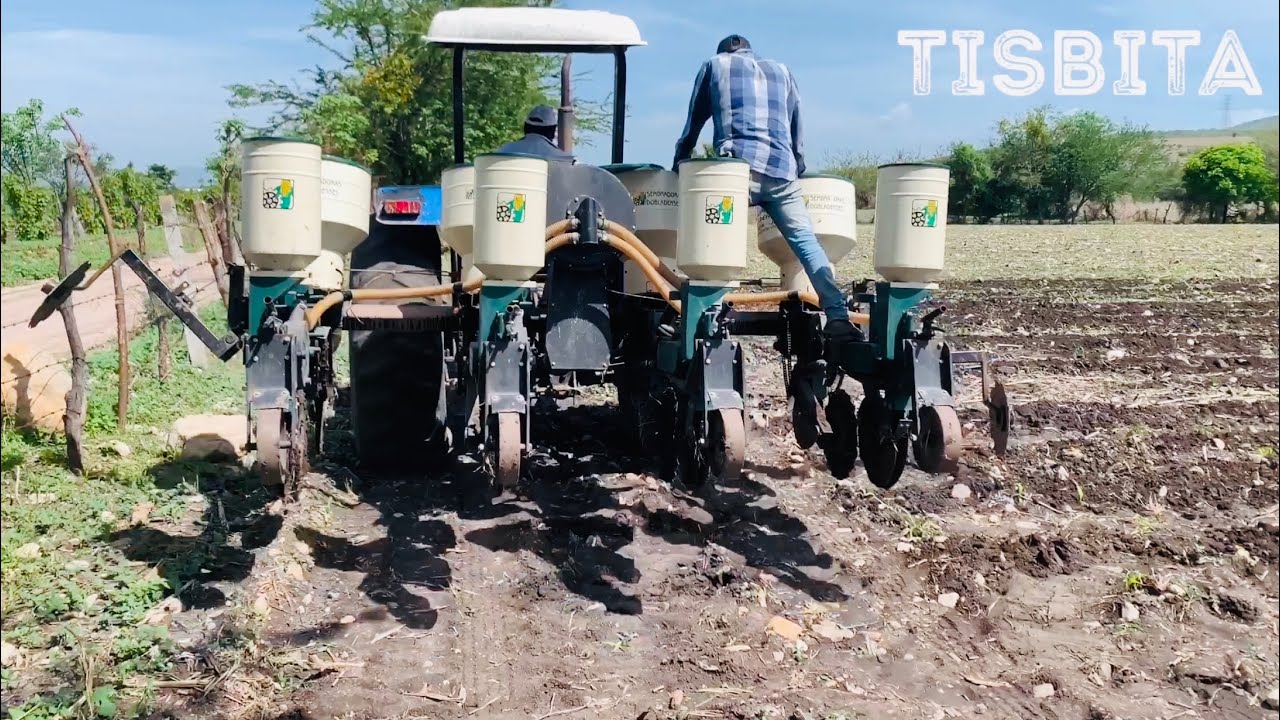 CULTIVO DE MAÍZ SEMBRADORA DE ALTA PRECISIÓN FUMIGACIÓN Y ABONADA