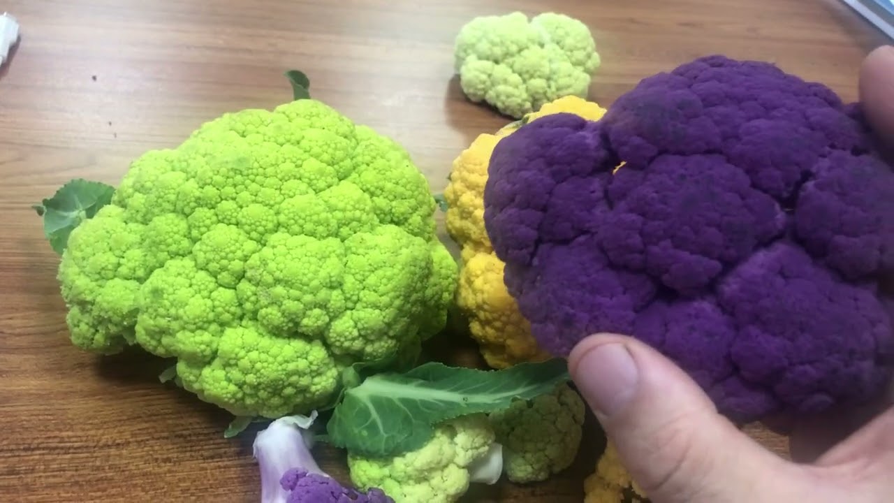 Renkli Karnabahar Özellikleri Tatları Faydaları ve Kullanımı