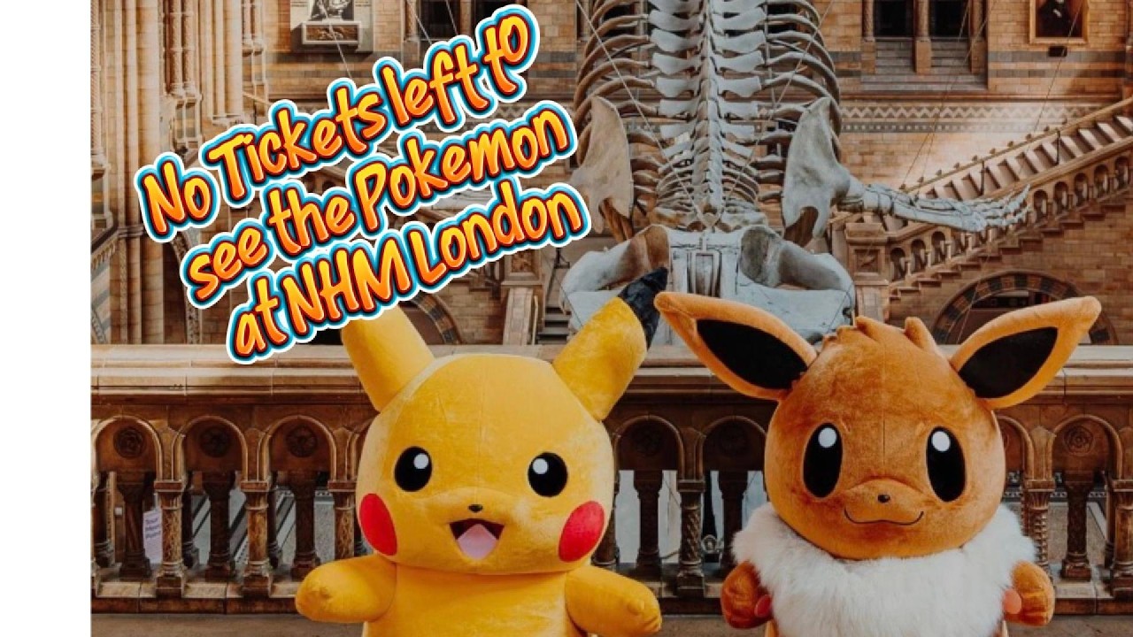 Можно ли еще купить карточки покемонов в Музее естественной истории? #pokemon #collectables #pikachu