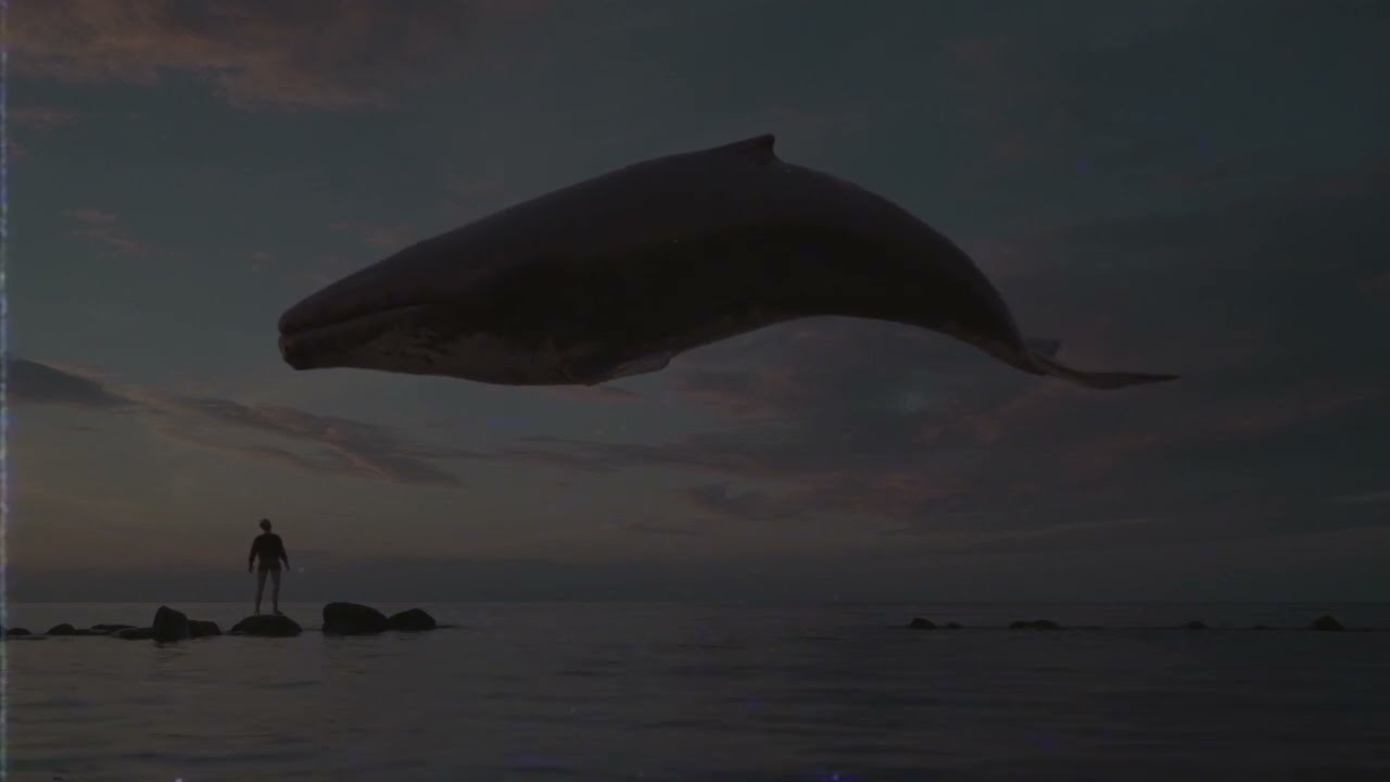 Rod Skelley - Aversions (Empty and Quiet) - Poetic Video