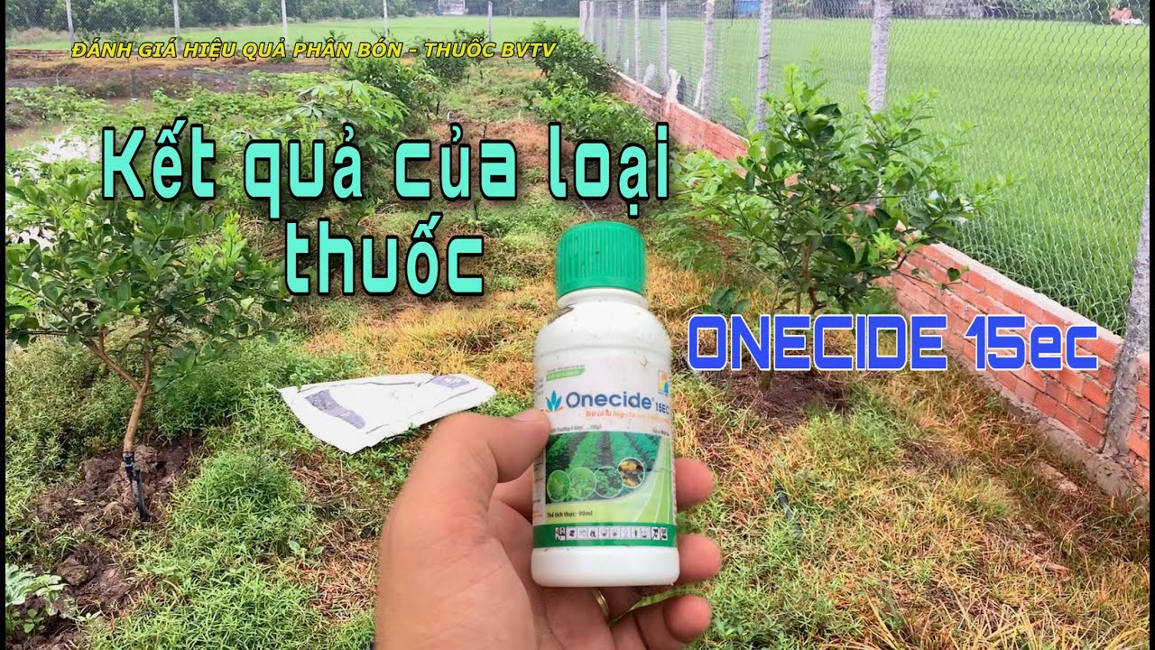 Đ&aacute;nh gi&aacute; hiệu quả thuốc Diệt Cỏ Chỉ Onecide 15EC| Đ&Aacute;NH GI&Aacute; PH&Acirc;N THUỐC