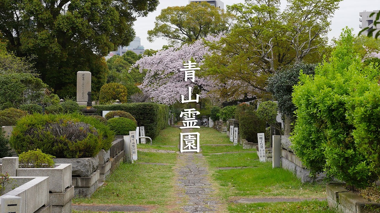 Tokyo Aoyama Cemetery - 青山霊園 - 4K Ultra HD