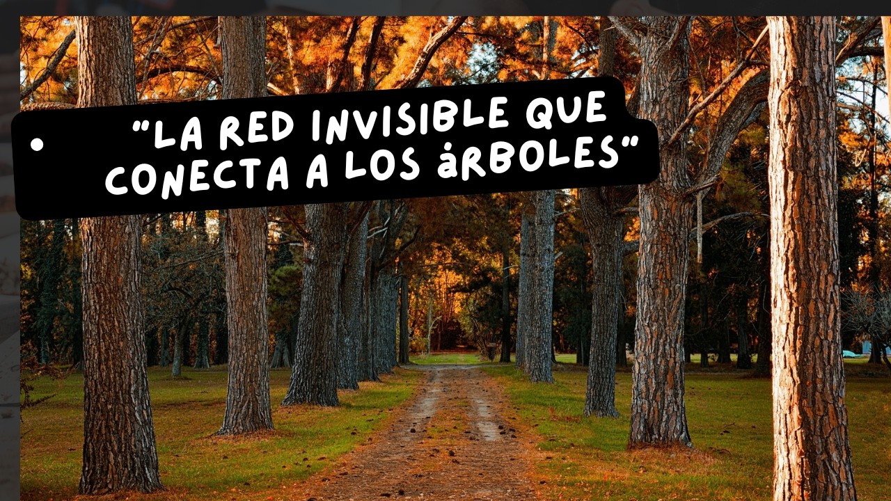 El lenguaje secreto de los árboles