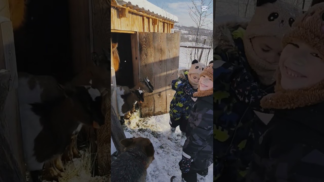 “Close-up moments with kids & pony 🐎❄️ 