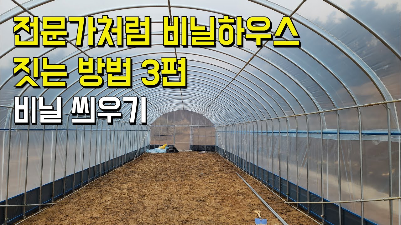 전문가처럼 비닐하우스 짓는 방법 3편 멋지게 비닐하우스 비닐 씌우기
