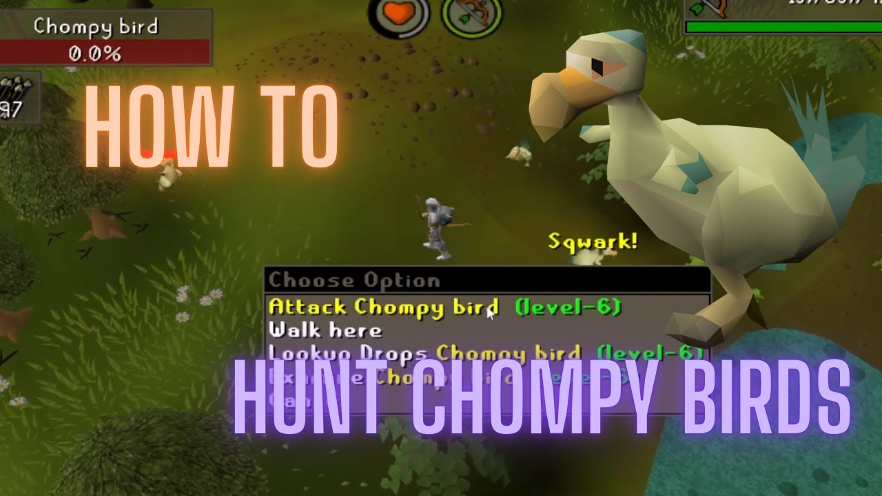 OSRS how to hunt Chompy Birds