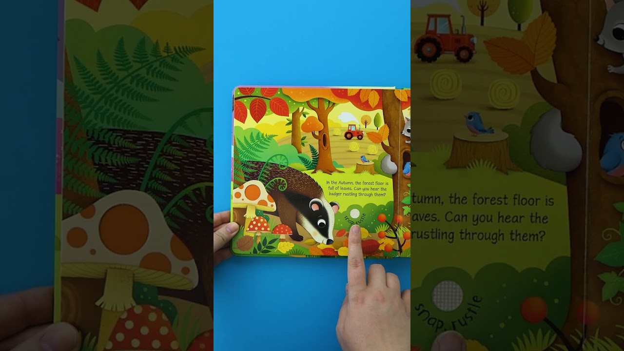 Usborne Sound Books | Seasons Sounds 🌈☂️