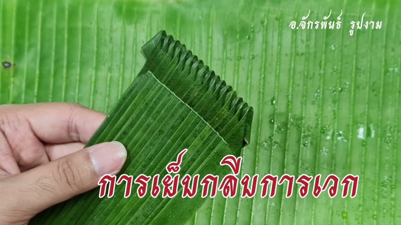 วิธีเย็บกลีบการเวก