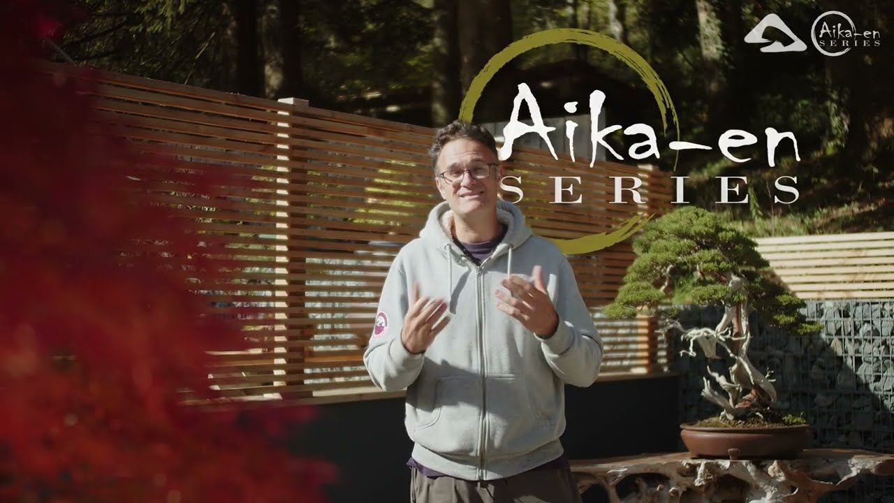 D&Eacute;COUVREZ L'ABONNEMENT AIKA-EN SERIES : Apprenez le bonsa&iuml; avec Alexandre ESCUDERO