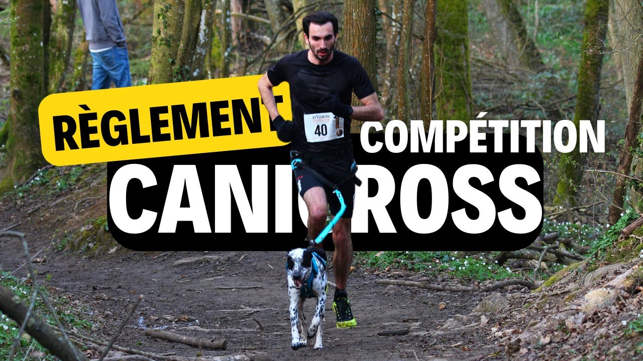 QUEL EST LE RÈGLEMENT EN COMPÉTITION CANICROSS ?