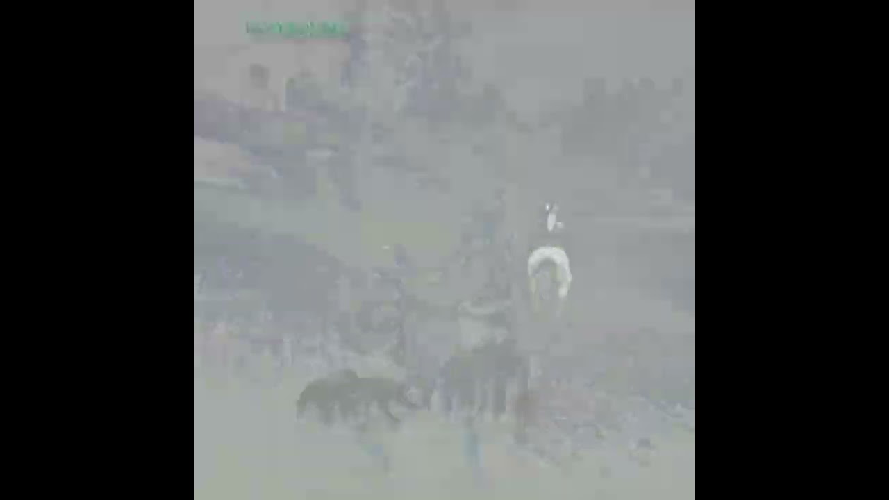 Red Dead online fun with friends #reddeadcharacter#reddeadonline#reddeadcommunity#reels#shorts#funny