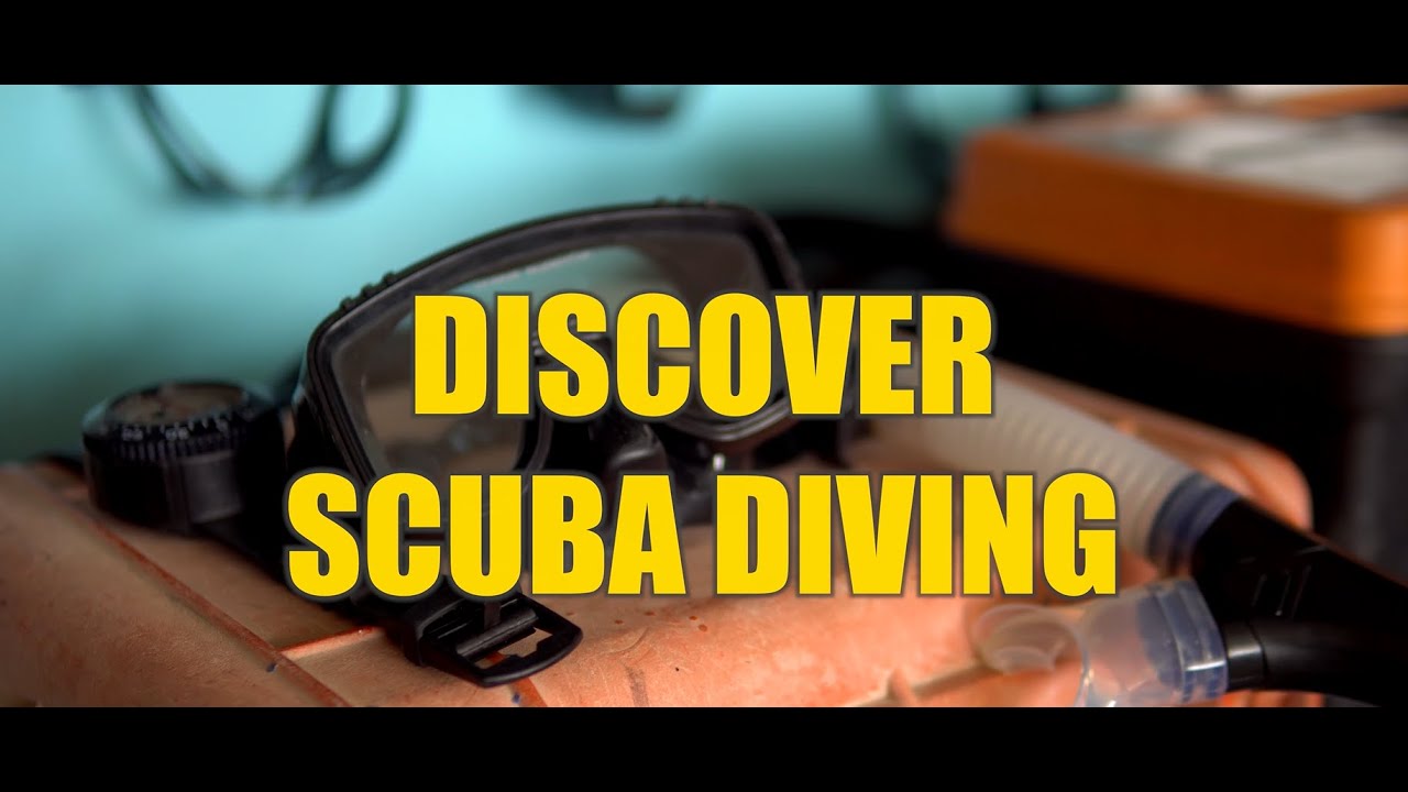 Discover Scuba Diving