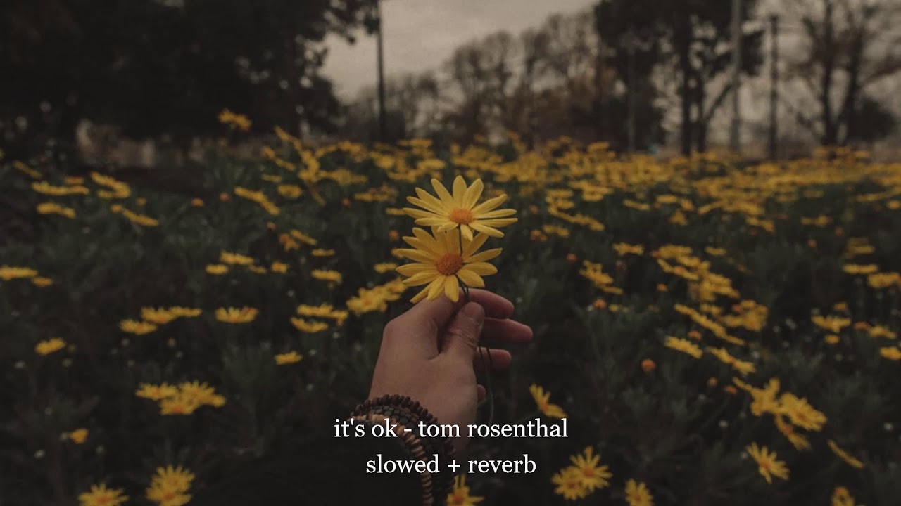 it's ok - tom rosenthal (slowed + reverb)