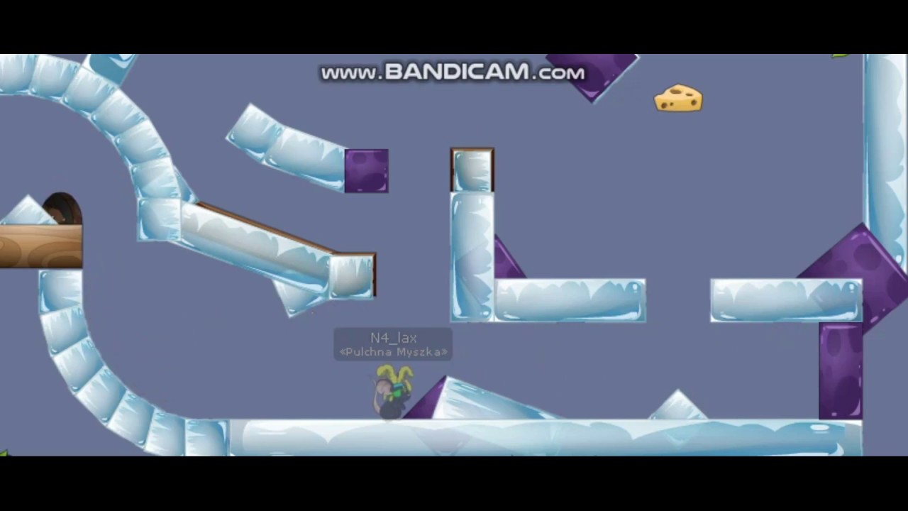 TFM - N4_lax and D_z burlas!