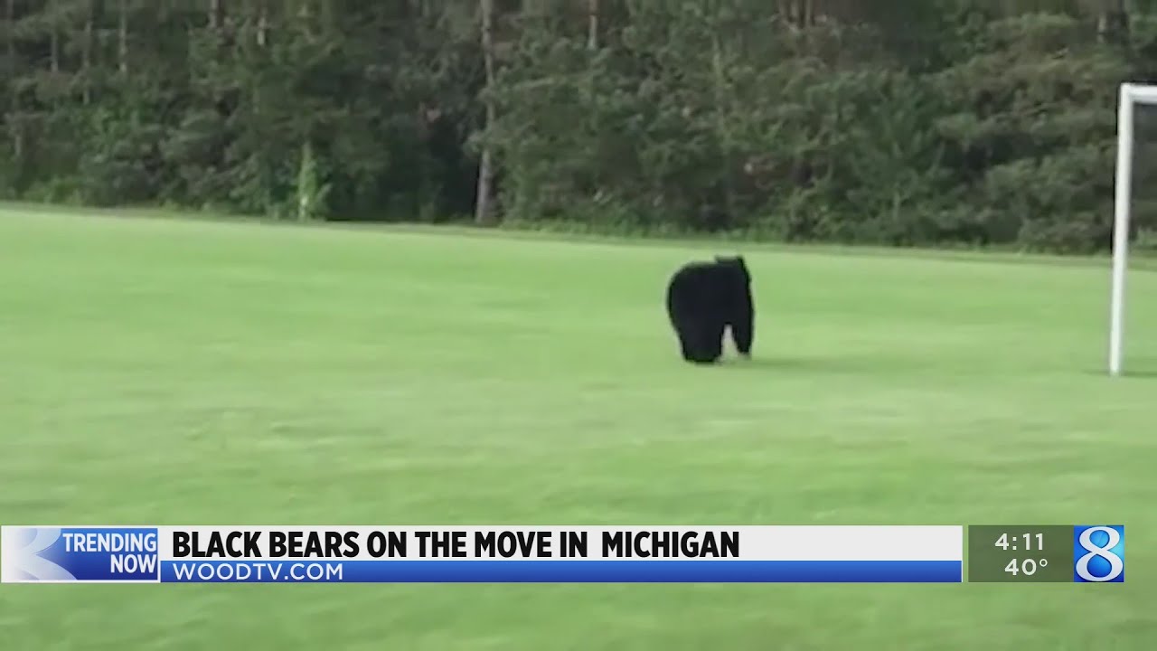 What's trending on WOODTV.com today