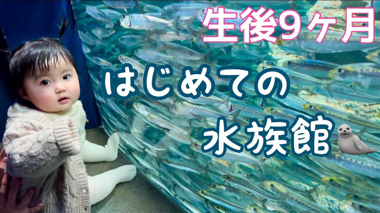 こんなに喜ぶの?!サンシャイン水族館で大興奮./Sunshine Aquarium in Tokyo