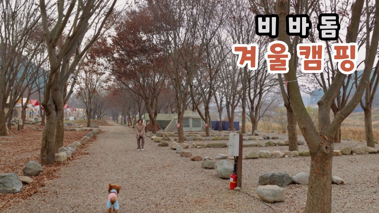 겨울캠핑❄️비바돔이면 충분해요~🐶애견동반캠핑ㅣ가평 캠핑사이다