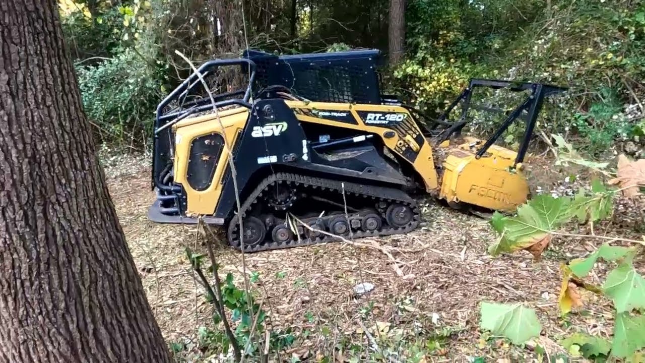 Clearing one acre of trees and underbrush
