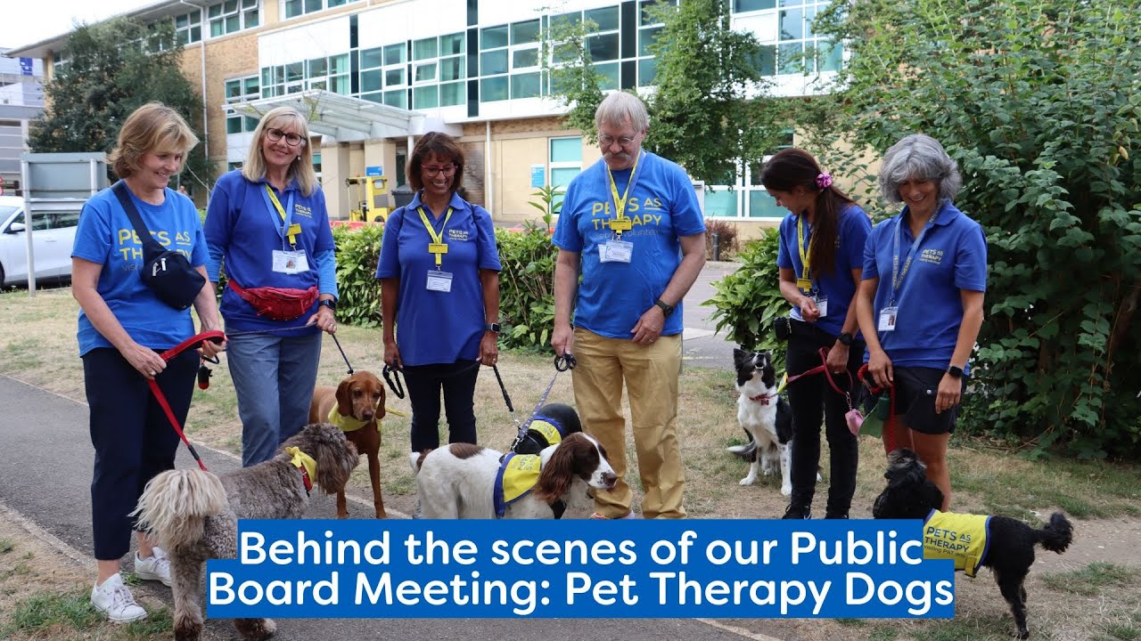 Behind the scenes at our Public Board Meeting: Pet Therapy Dogs