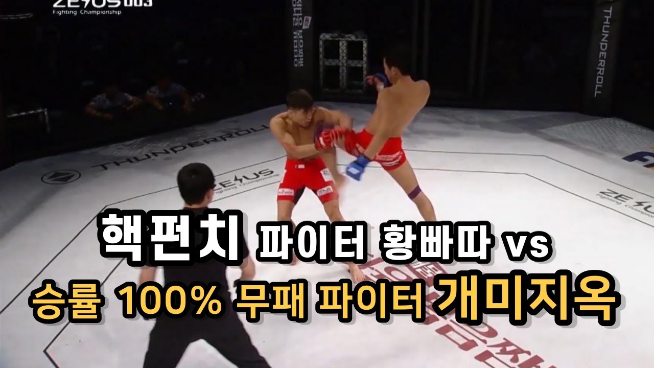 핵펀치 황빠다 vs 승률 100% 개미지옥 !!!