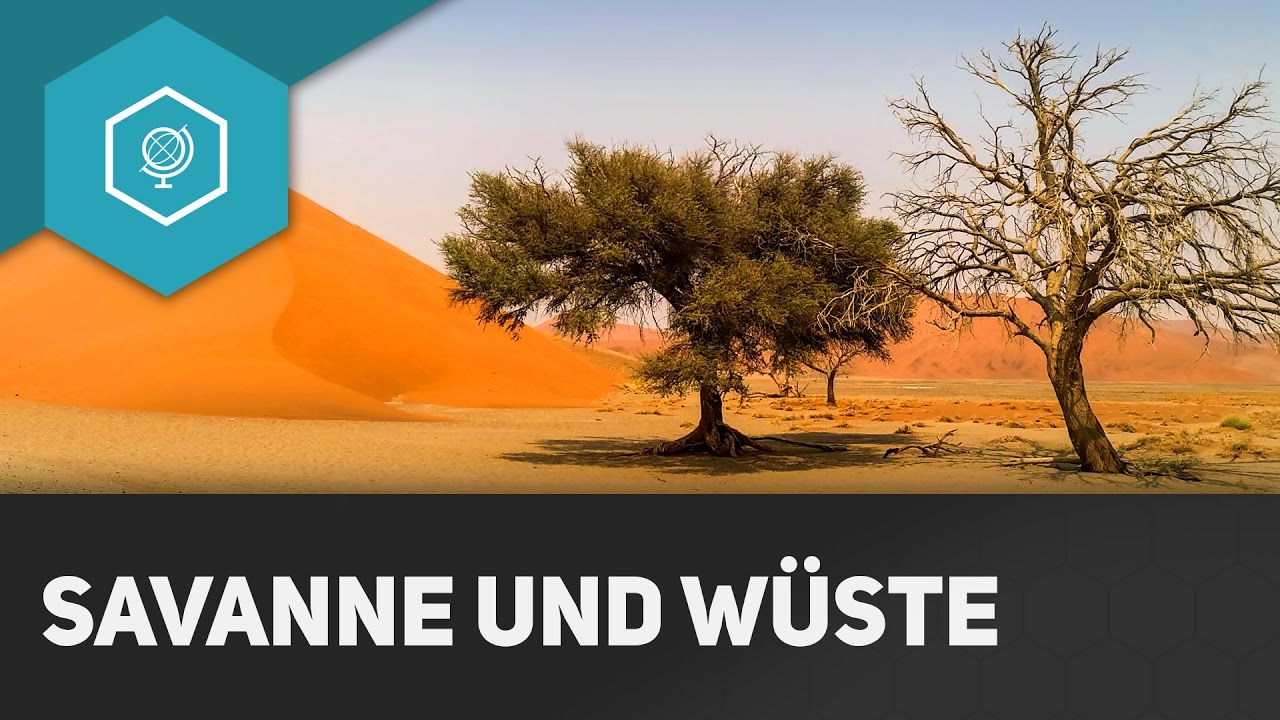 Savanne und Wüste - Die Tropen III - Klimazonen 4