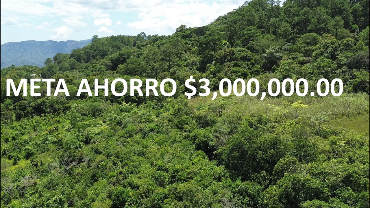 Meta de ahorro de 3 millones