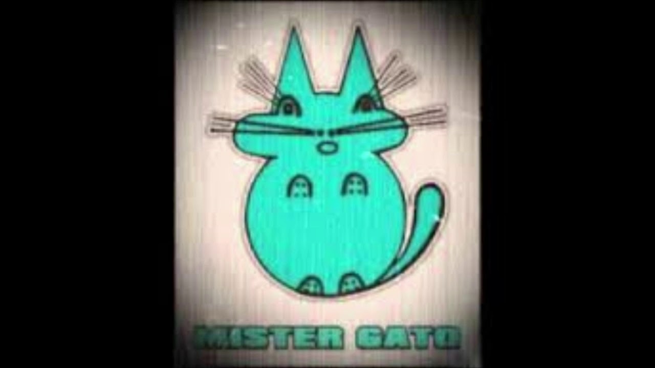 mister gato 25