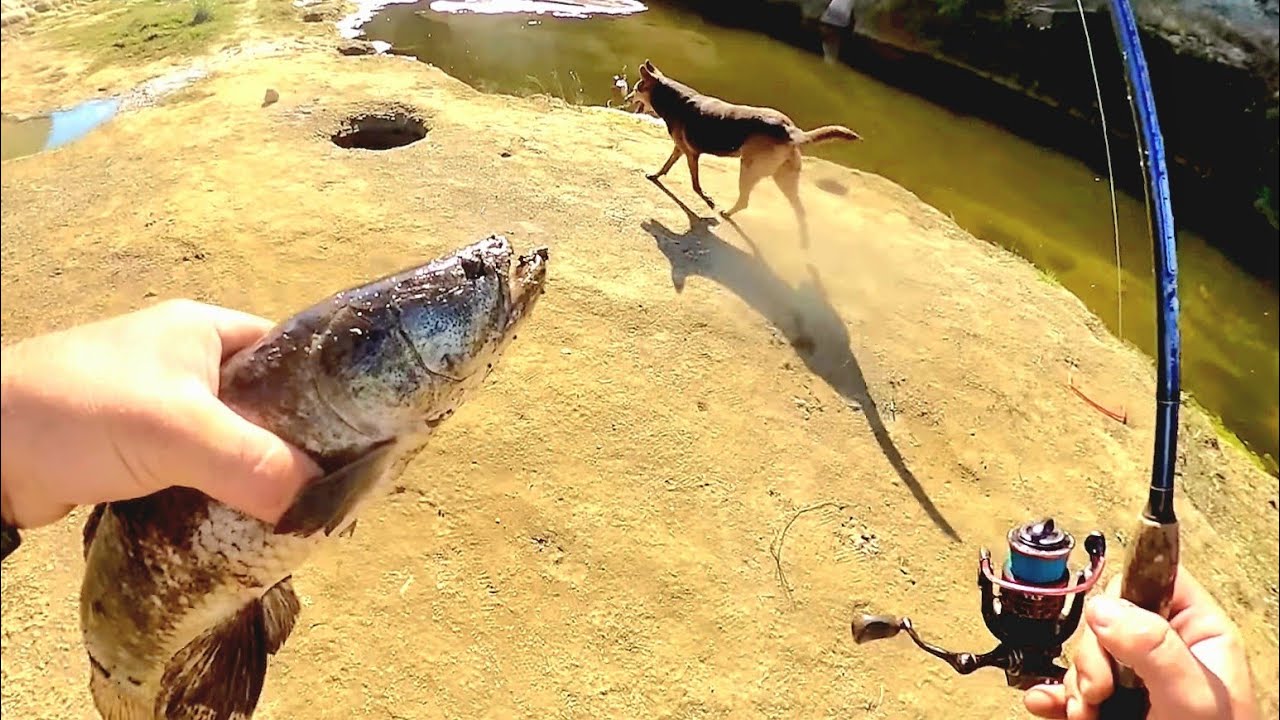 Exploración de fábrica abandonada y encuentro fósiles. Pesca urbana, pesca y cocina