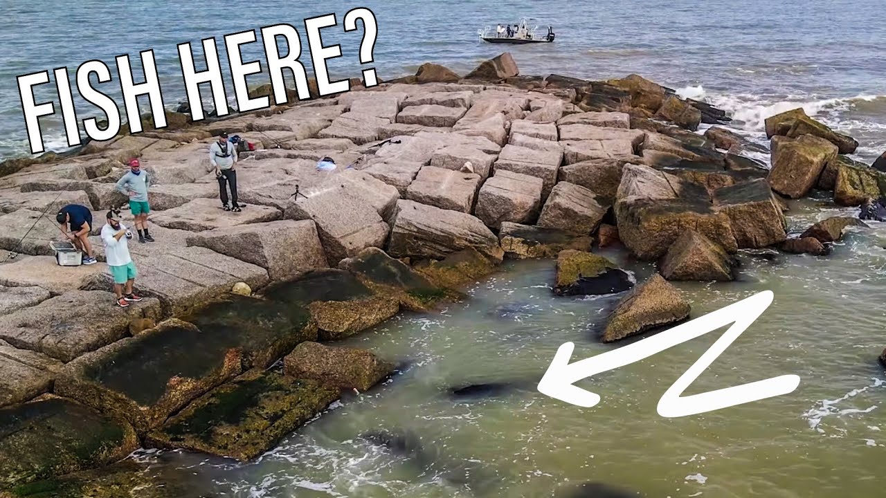 The EASIEST FISH to CATCH in Texas