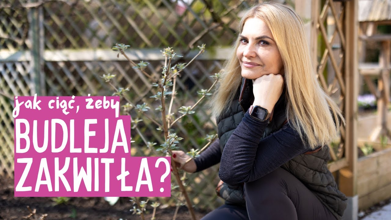 Cięcie budlei, perowskii i ważny oprysk na szkodniki – zadbaj o ogród już w marcu!