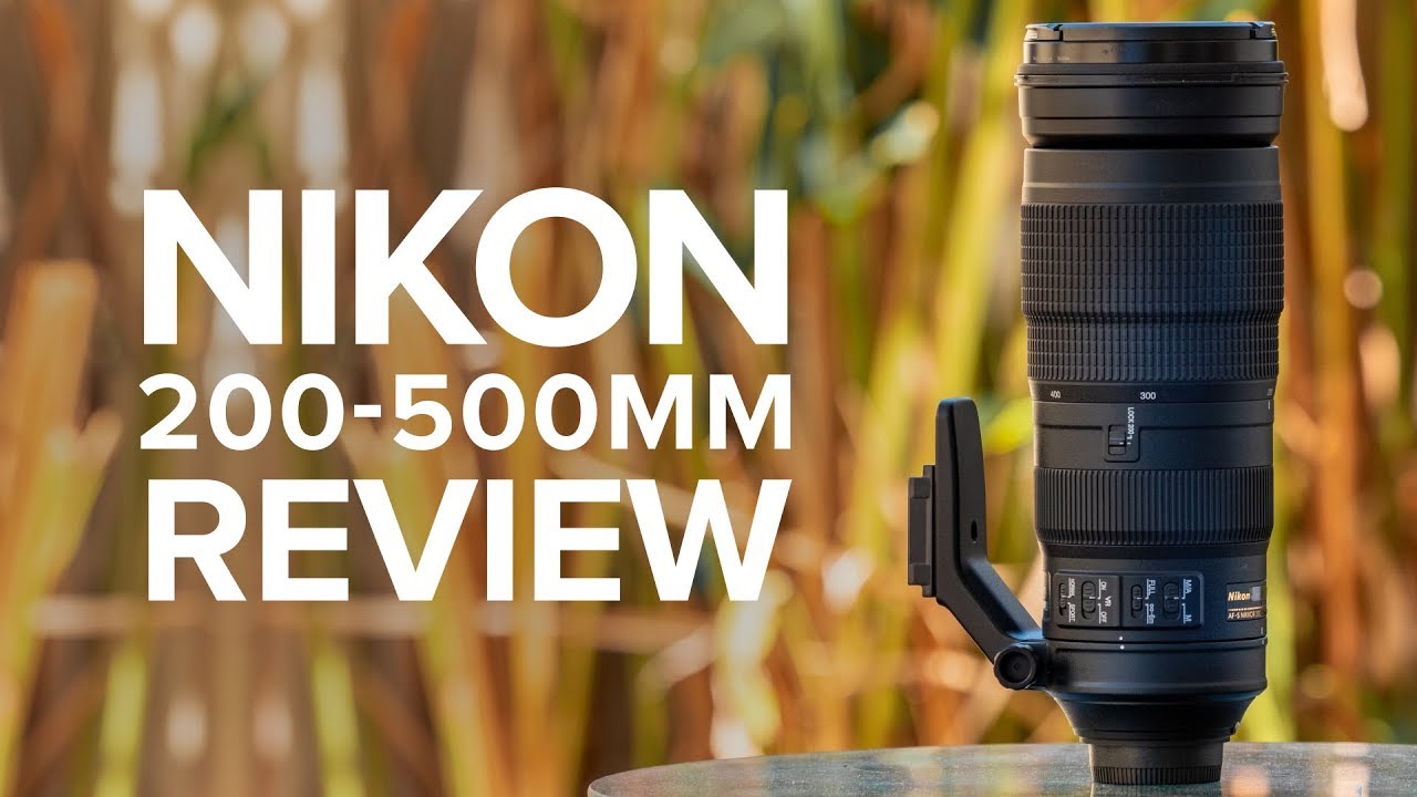 Review of the Nikon 200-500mm f/5.6 | Wildlife photography with the Nikon Z6