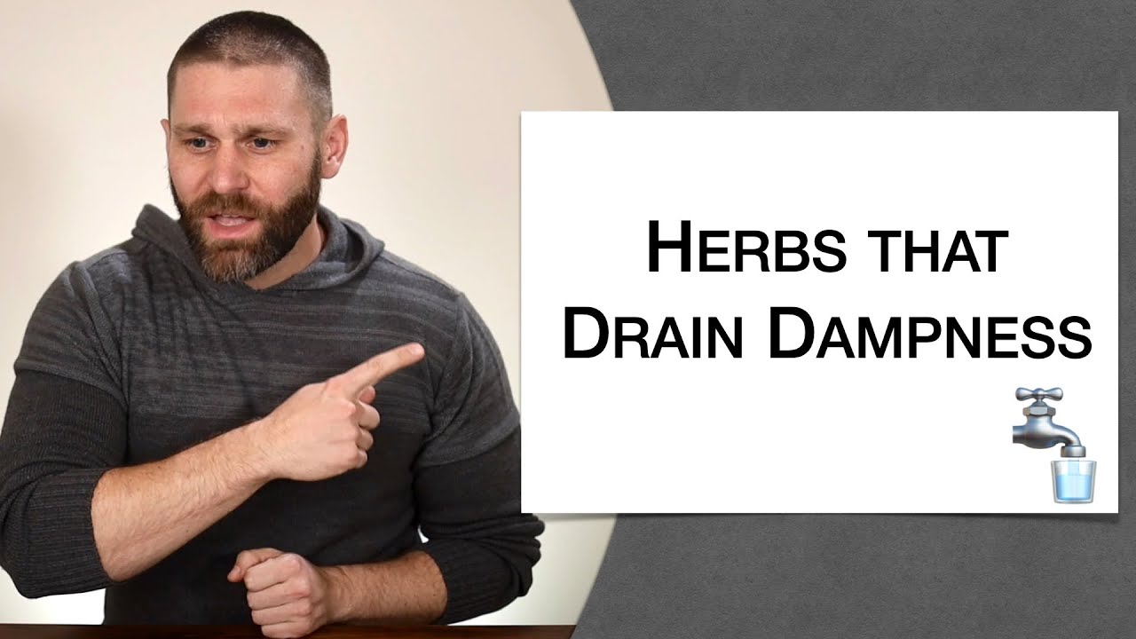 🌿 Herbology 1 Review - Herbs that Drain Dampness (Extended Live Lecture)